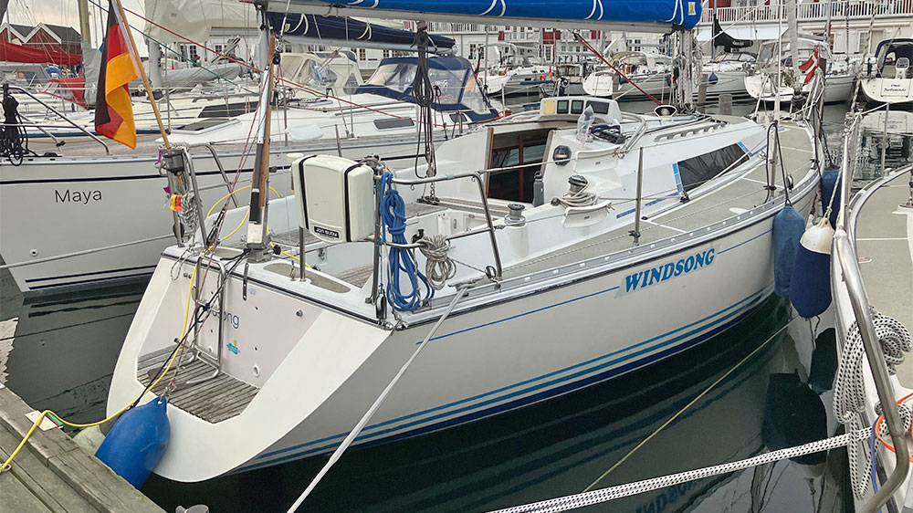 Blauwasser_online_elektroantrieb_uebersicht_2