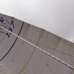 roe_3333