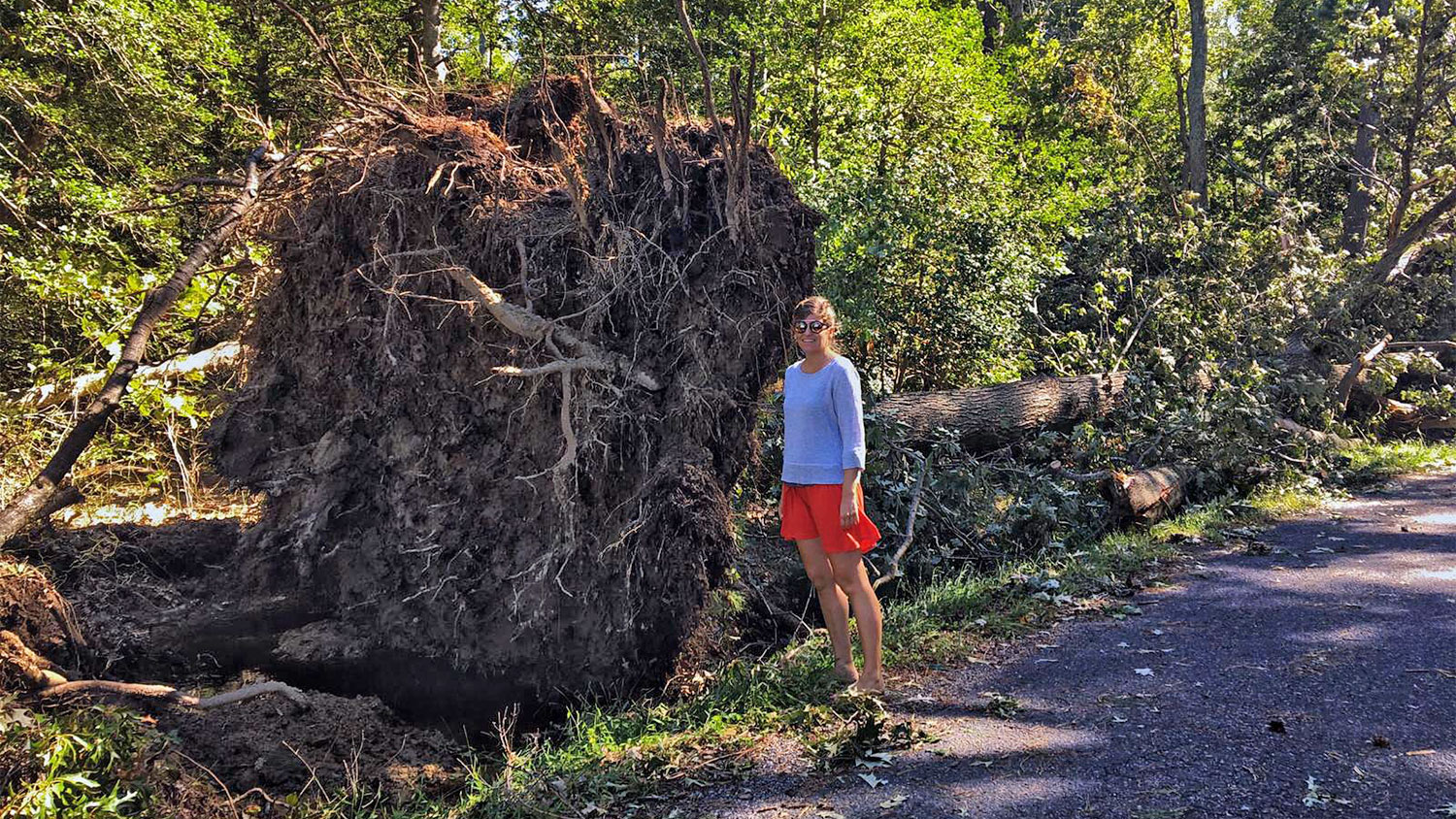 blauwasser_atlantikrunde_usa_deltaville_hurrikan_baum