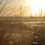 blauwasser_corona_editorial_ungewissheit
