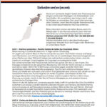 blauwasser_lanzarote_lava_charter_pdf_rundtoern_cover