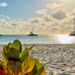 blauwasser_marina_bahamas_exumas_highborne_cay_marina_ankerfeld