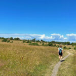 blauwasser_marina_daenemark_allinge_umgebung