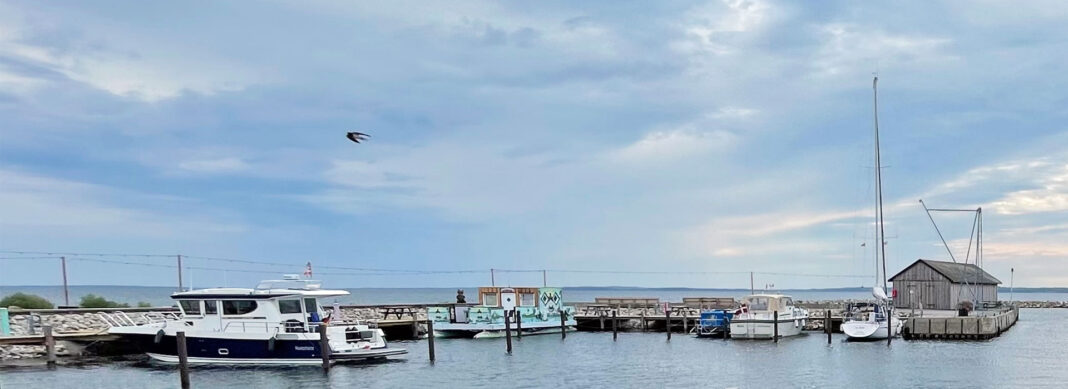 blauwasser_marina_daenemark_festland_dagelokke_header