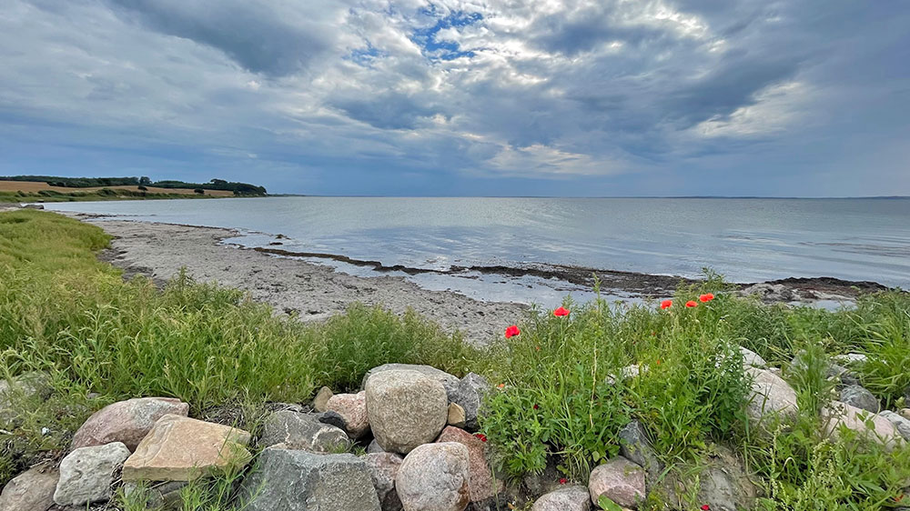 blauwasser_marina_daenemark_festland_dagelokke_strand