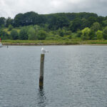 blauwasser_marina_daenemark_kalvo_pfaehle