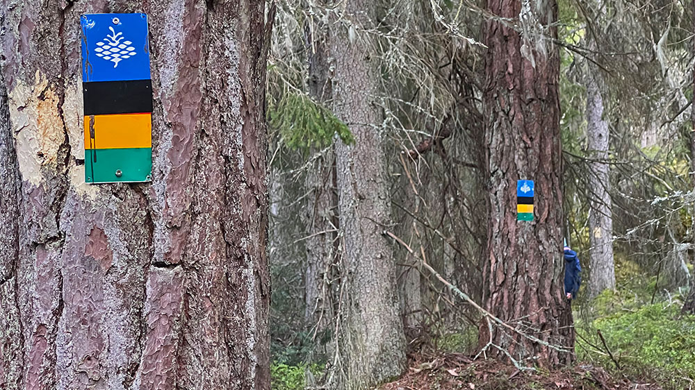 blauwasser_marina_finnland_jussaroe_naturstig