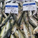 blauwasser_marina_olhao_portugal_fischmarkt_2