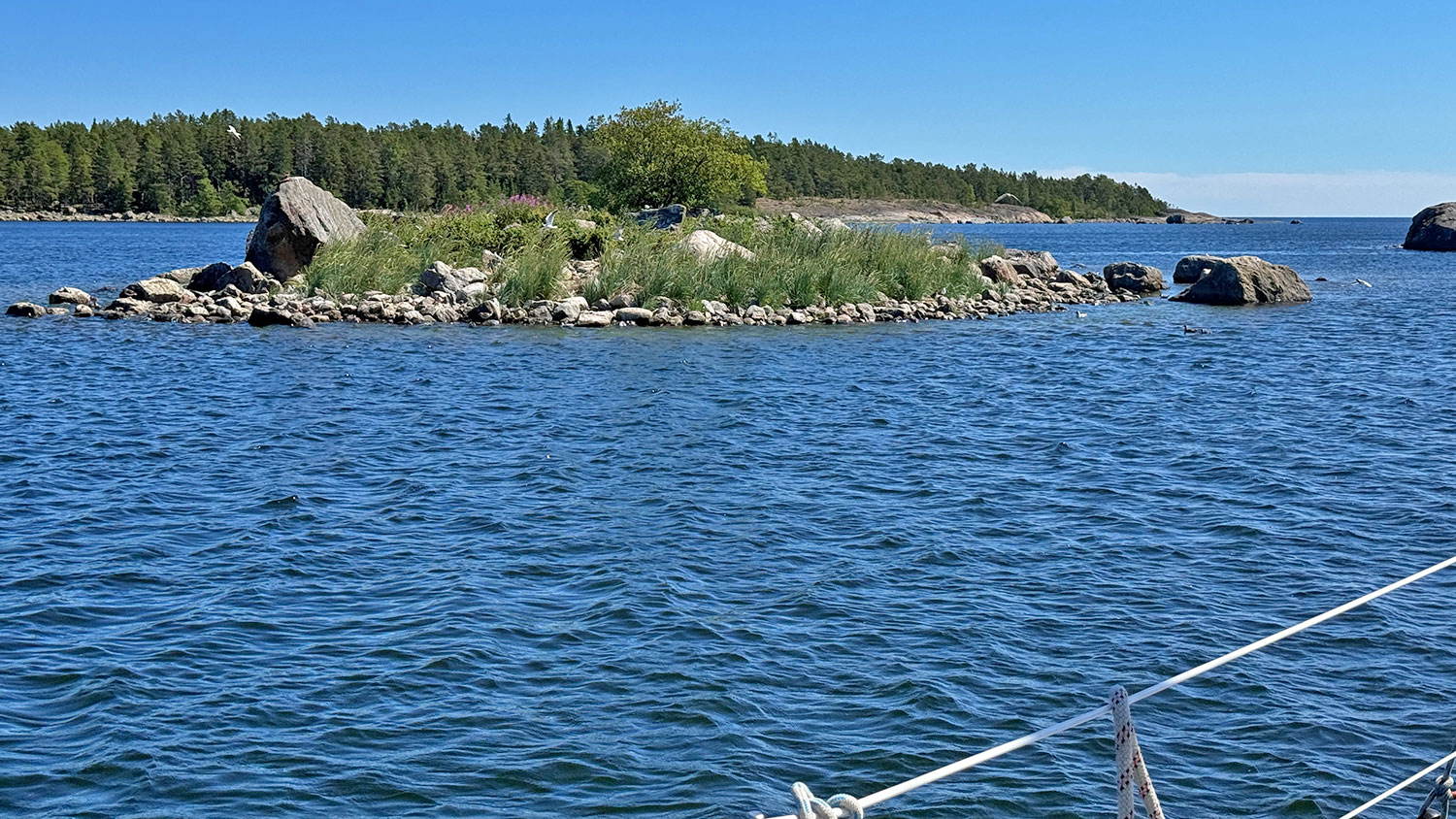blauwasser_marina_schweden_bottnischer_meerbusen_galtstroem_aussicht