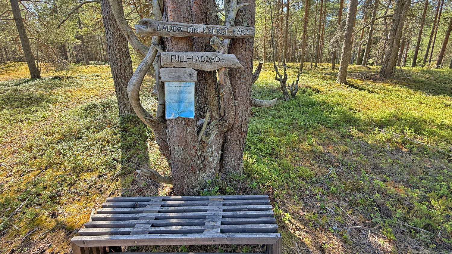 blauwasser_marina_schweden_bottnischer_meerbusen_stora_trutskaer_energie