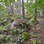 blauwasser_marina_schweden_ostkueste_norrviken_feuerholz