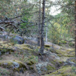 blauwasser_marina_schweden_ostschaeren_traessoe_trampelpfade