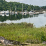 blauwasser_marina_schweden_suedkueste_tjaeroe_maren_steganlage