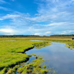 blauwasser_marina_schweden_westkueste_hoellviken_erkundung