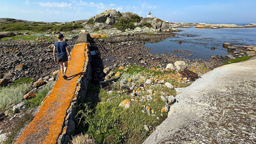 blauwasser_marina_schweden_westkueste_tistlarna_bruecke