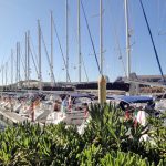 blauwasser_marke_buechi_flotte