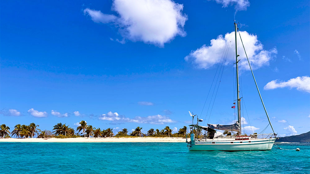 blauwasser_neujahr2026_marga_contest