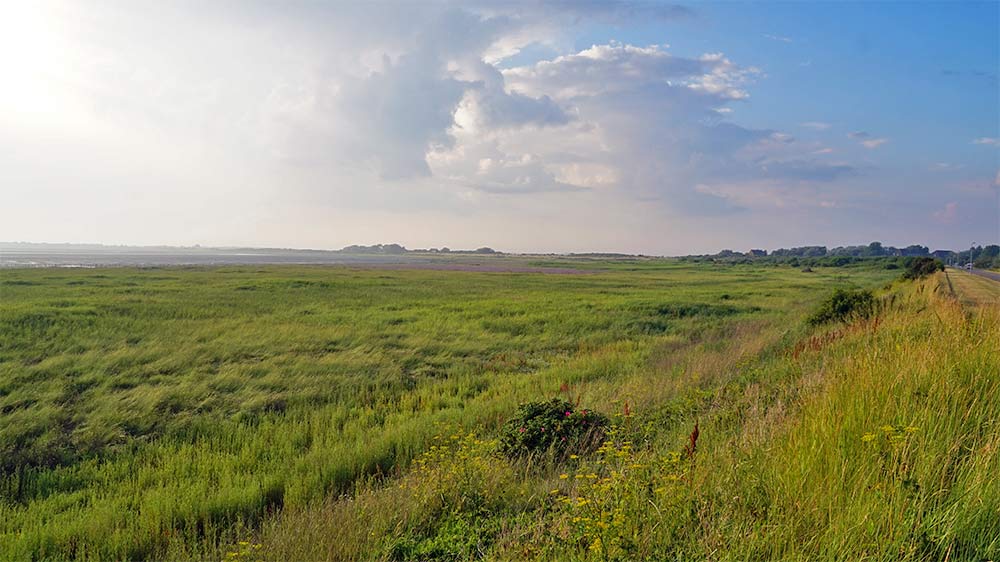 yachthafen borkum speisekarte