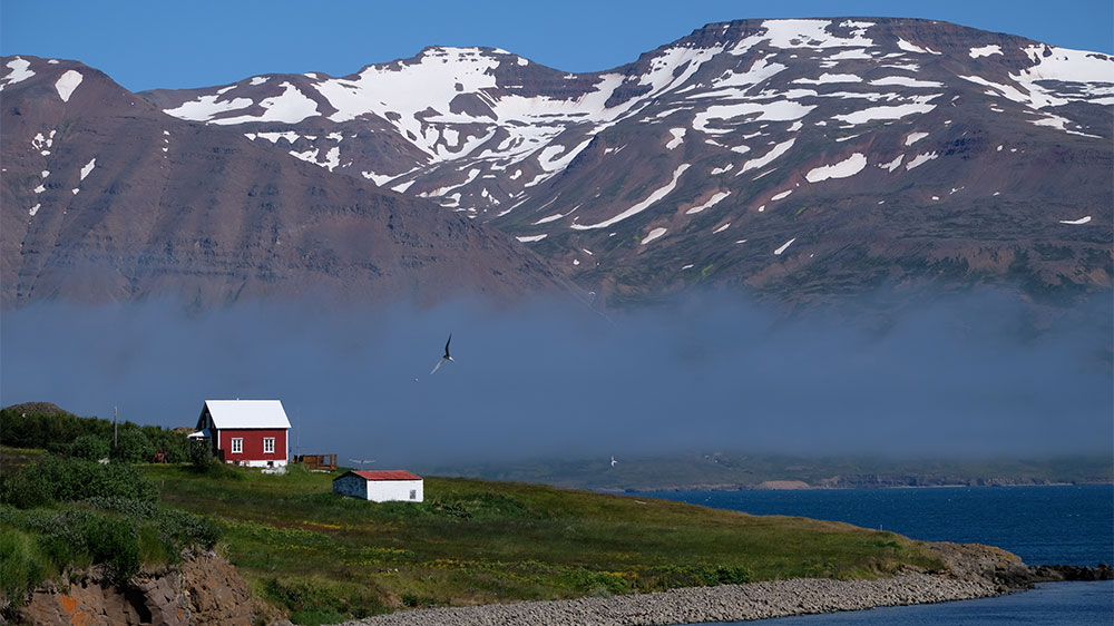 blauwasser_online_island_hrisey_haus