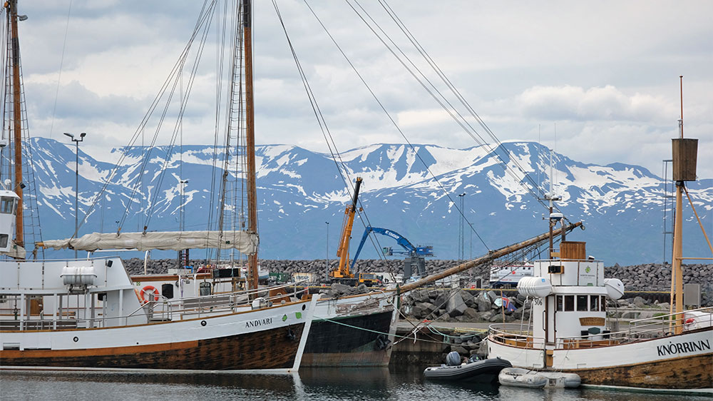 blauwasser_online_island_husavik