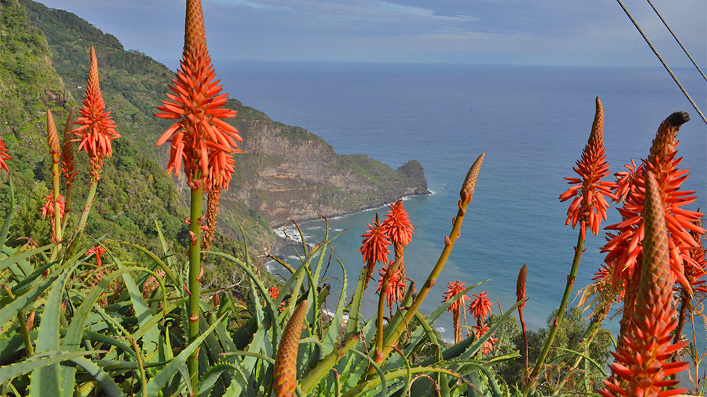 blauwasser_online_madeira_ueberblick_1