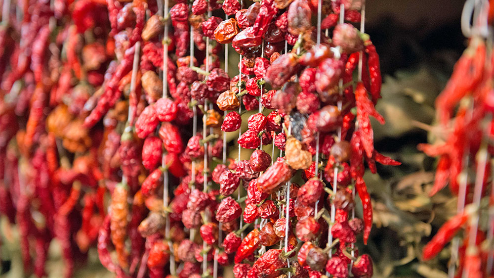 blauwasser_online_madeira_ueberblick_12