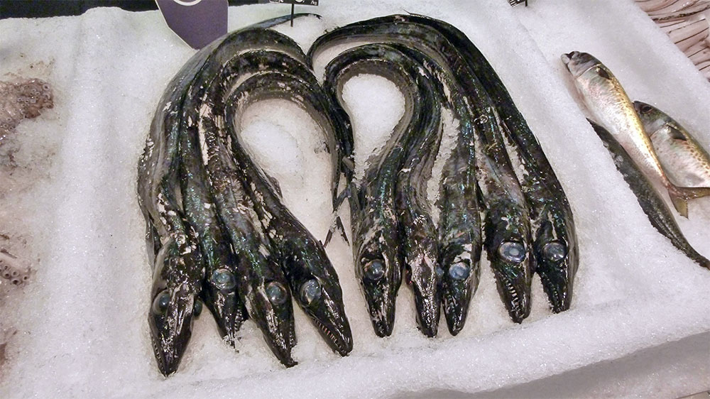 blauwasser_online_madeira_ueberblick_13