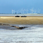blauwasser_reviere_segeln_deutschland_elbe_gezeiten