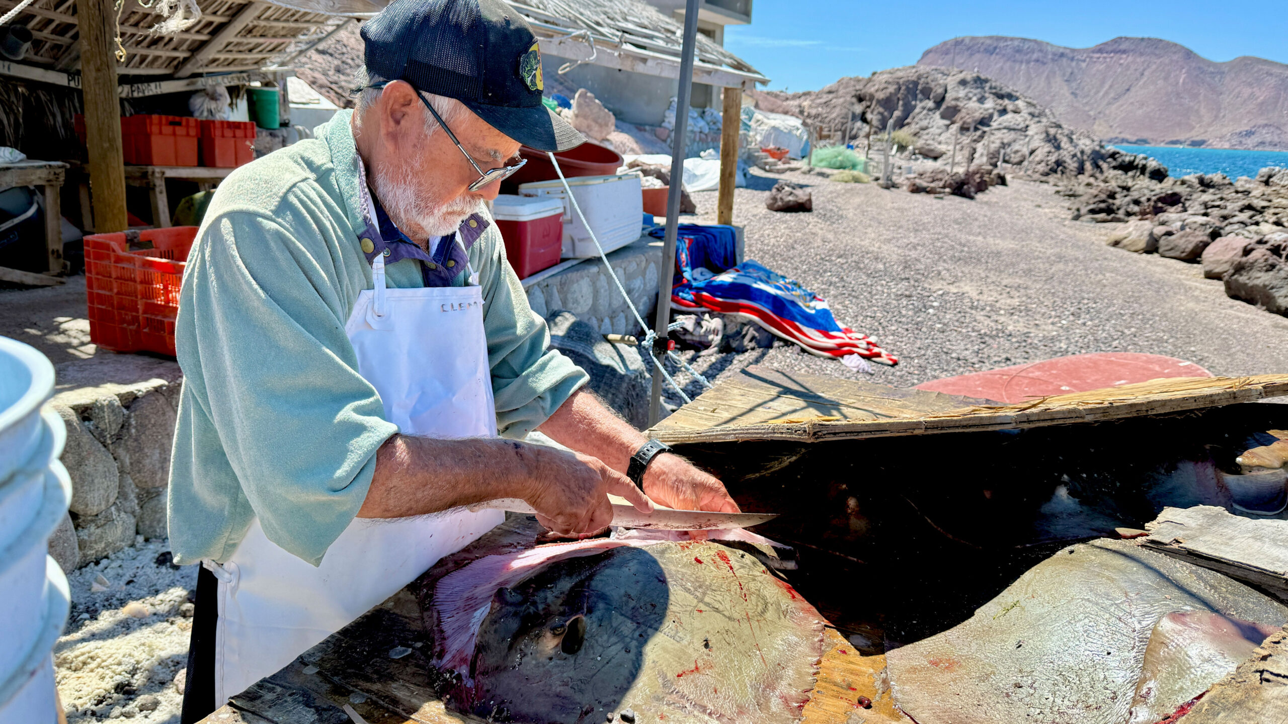 blauwasser_reviere_segeln_mexiko_la-paz_fisch