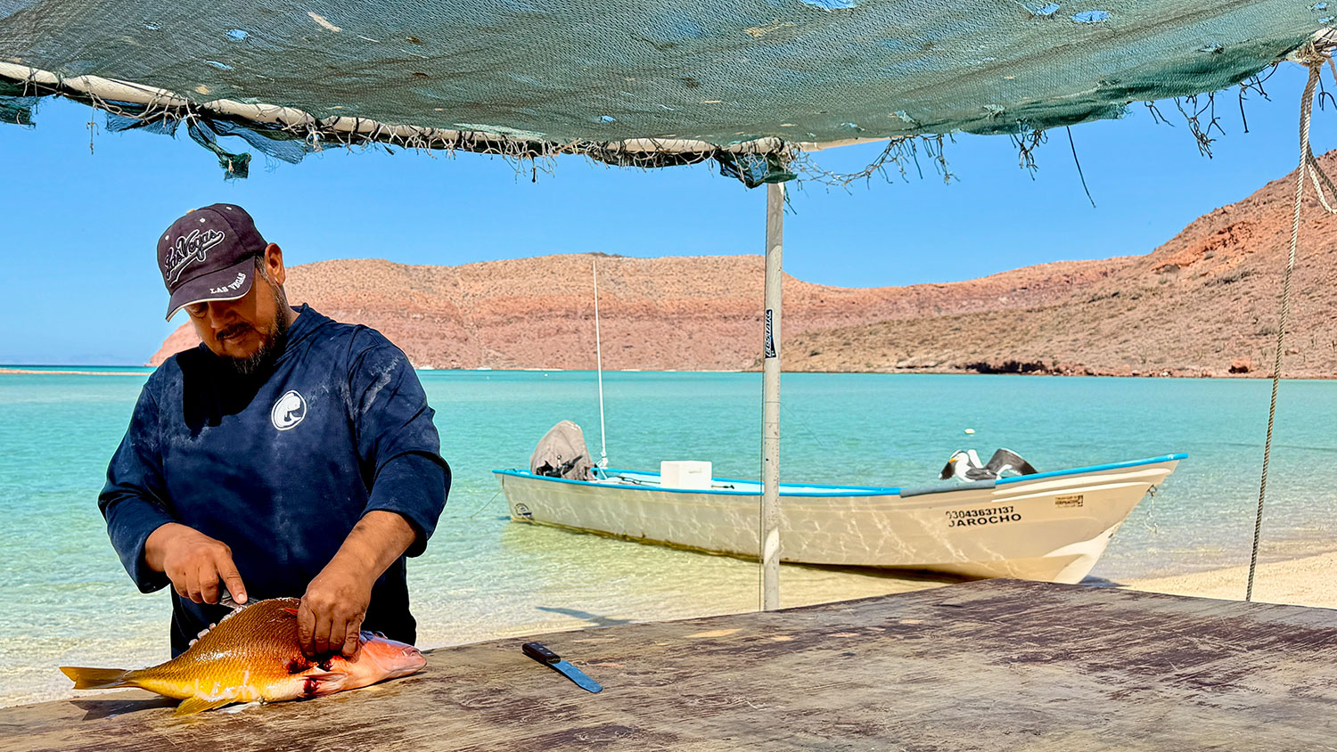 blauwasser_reviere_segeln_mexiko_la-paz_fischkauf