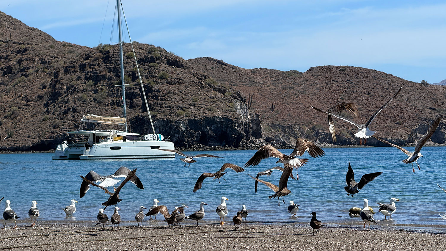 blauwasser_reviere_segeln_mexiko_la-paz_san-evaristo