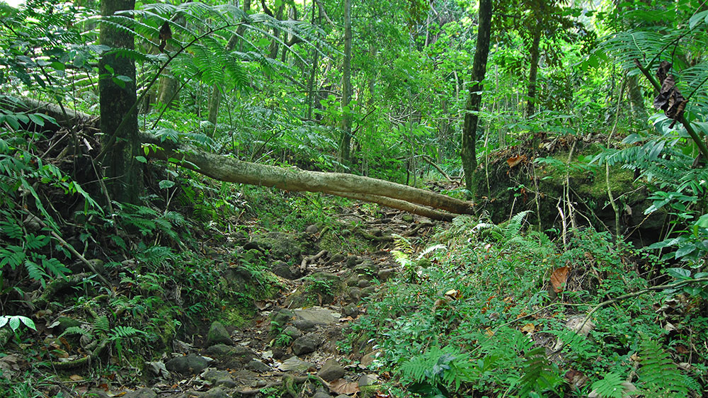 blauwasser_revierinformation_suedpazifik_tahiti_moorea_inselinneres