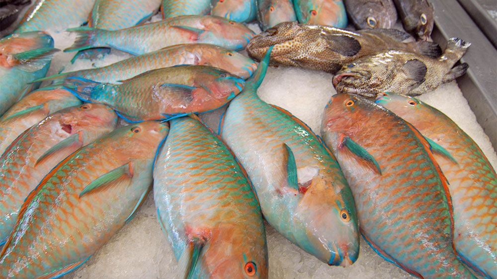 blauwasser_revierinformation_suedpazifik_tahiti_moorea_markt