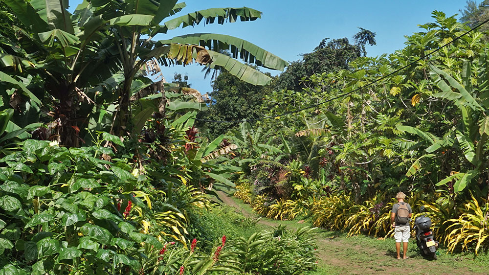 blauwasser_revierinformation_suedpazifik_tahiti_moorea_mopedtour