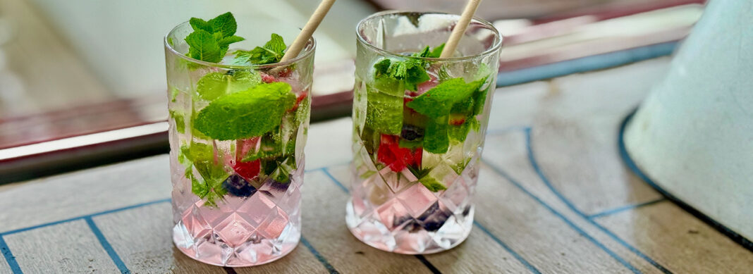 blauwasser_rezepte_virgin_mojito_header