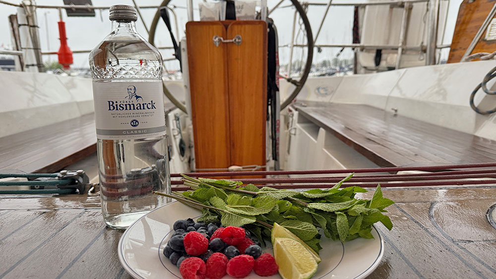 blauwasser_rezepte_virgin_mojito_zutaten