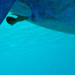 blauwasser_unterwasserschiff_rumpf_kiel_ruder_langfahrt_header_1